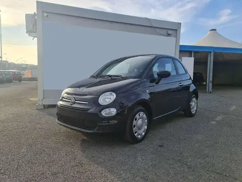 Used FIAT 500 Hybrid 2024 Ad 