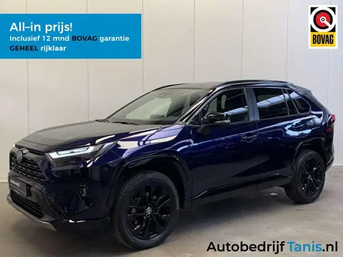 Used TOYOTA RAV4 Hybrid 2022 Ad 