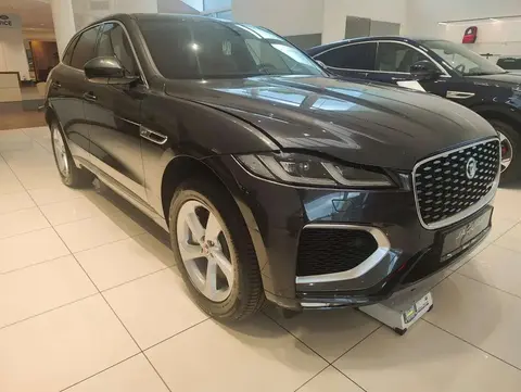 Annonce JAGUAR F-PACE Hybride 2024 d'occasion 