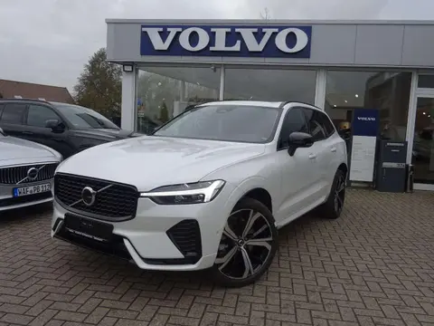 Used VOLVO XC60 Petrol 2024 Ad 