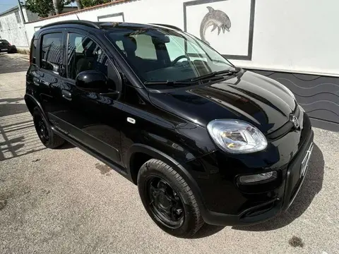 Annonce FIAT PANDA Essence 2019 d'occasion 