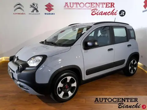 Annonce FIAT PANDA Hybride 2022 d'occasion 