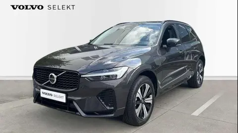 Used VOLVO XC60 Hybrid 2023 Ad 