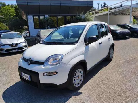 Annonce FIAT PANDA Hybride 2024 d'occasion 