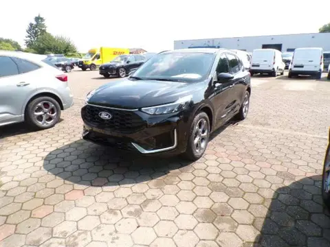 Used FORD KUGA Petrol 2024 Ad 