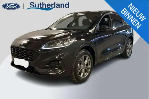 Annonce FORD KUGA Hybride 2023 d'occasion 