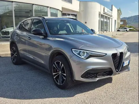 Used ALFA ROMEO STELVIO Diesel 2019 Ad Italy