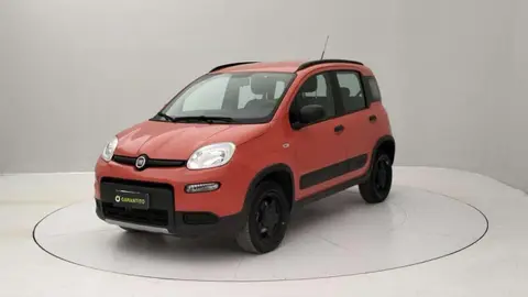 Annonce FIAT PANDA Essence 2019 d'occasion 