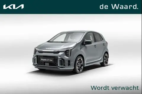 Used KIA PICANTO Petrol 2024 Ad 