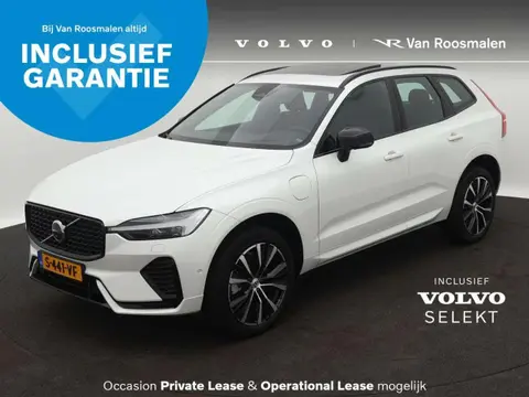 Used VOLVO XC60 Hybrid 2023 Ad 