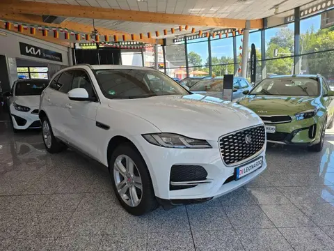 Used JAGUAR F-PACE Diesel 2022 Ad 