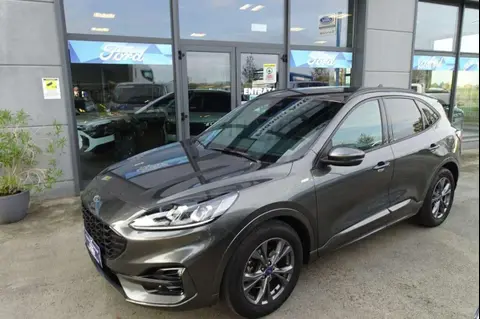 Annonce FORD KUGA Diesel 2021 d'occasion 