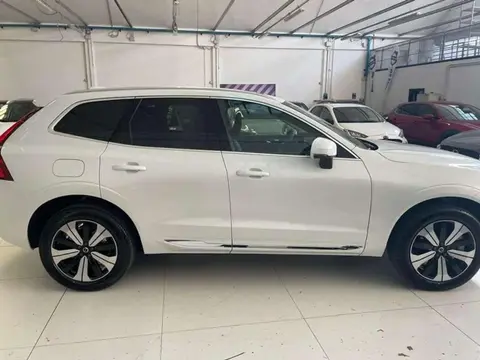 Used VOLVO XC60 Hybrid 2024 Ad 