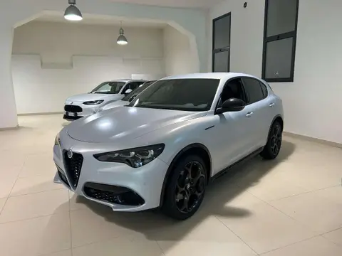 Used ALFA ROMEO STELVIO Diesel 2023 Ad 