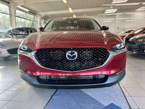 Annonce MAZDA CX-30 Essence 2023 d'occasion 