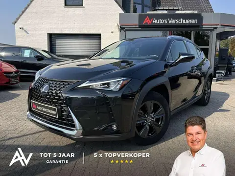 Used LEXUS UX Hybrid 2021 Ad 