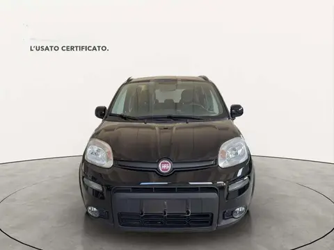 Used FIAT PANDA Hybrid 2023 Ad 