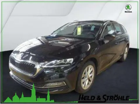 Used SKODA OCTAVIA Petrol 2024 Ad 