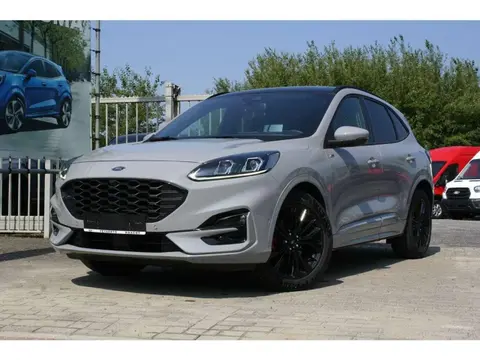 Used FORD KUGA Hybrid 2024 Ad 