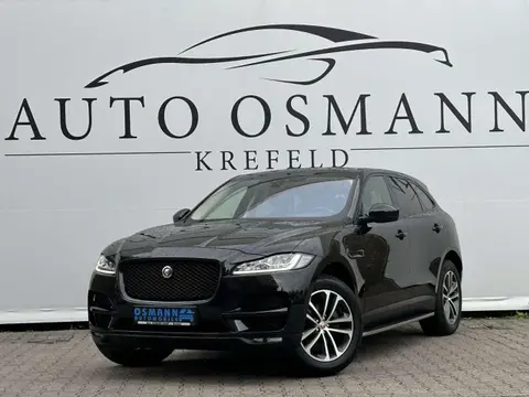 Used JAGUAR F-PACE Diesel 2019 Ad 