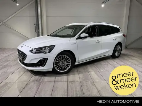 Annonce FORD FOCUS Essence 2019 d'occasion 