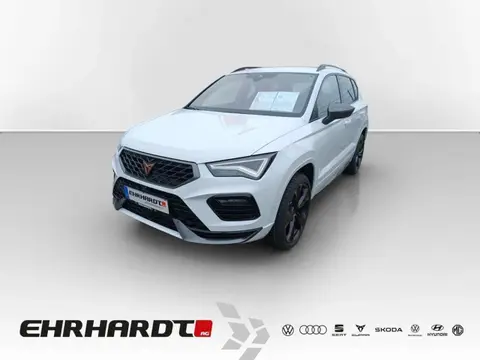 Annonce CUPRA ATECA Essence 2024 d'occasion 