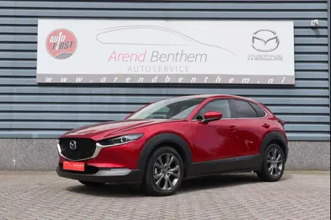 Annonce MAZDA CX-30 Hybride 2023 d'occasion 