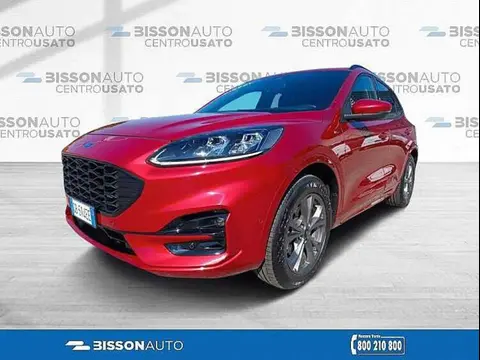 Used FORD KUGA Diesel 2020 Ad 