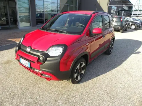 Used FIAT PANDA Hybrid 2023 Ad 