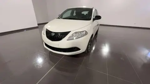 Used LANCIA YPSILON Hybrid 2024 Ad 