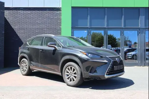 Used LEXUS NX Hybrid 2019 Ad 