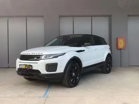 Used LAND ROVER RANGE ROVER EVOQUE Diesel 2018 Ad 