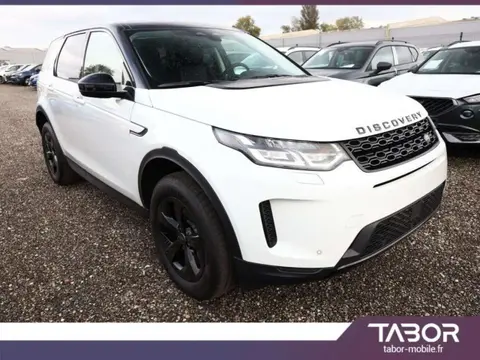 Annonce LAND ROVER DISCOVERY Diesel 2022 d'occasion 