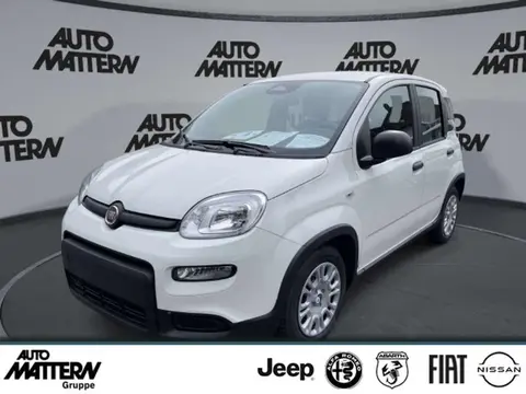 Used FIAT PANDA Petrol 2024 Ad 