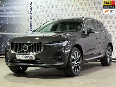 Annonce VOLVO XC60 Hybride 2021 d'occasion 