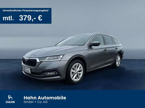 Annonce SKODA OCTAVIA Diesel 2023 d'occasion 