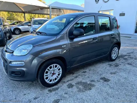 Annonce FIAT PANDA GPL 2018 d'occasion 