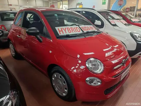 Used FIAT 500 Hybrid 2024 Ad 