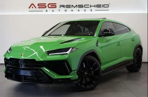 Used LAMBORGHINI URUS Petrol 2024 Ad 