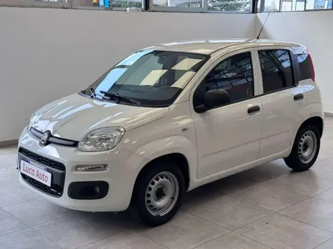 Used FIAT PANDA LPG 2019 Ad 