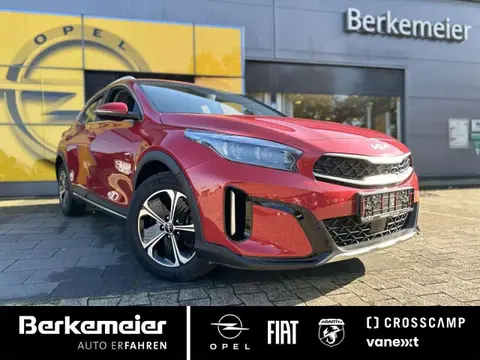 Used KIA XCEED Hybrid 2022 Ad 