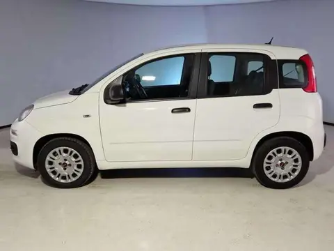 Used FIAT PANDA Petrol 2020 Ad Italy