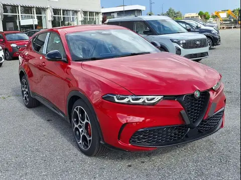 Annonce ALFA ROMEO TONALE Diesel 2024 d'occasion 