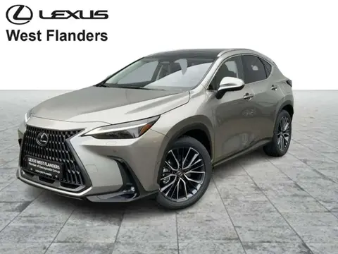 Used LEXUS NX Hybrid 2024 Ad 