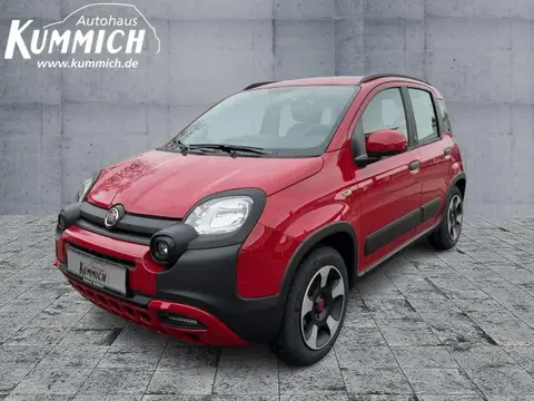 Annonce FIAT PANDA Hybride 2024 d'occasion 