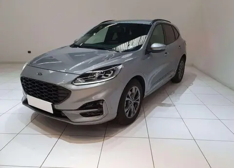 Used FORD KUGA Petrol 2023 Ad 