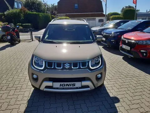 Used SUZUKI IGNIS Hybrid 2024 Ad 