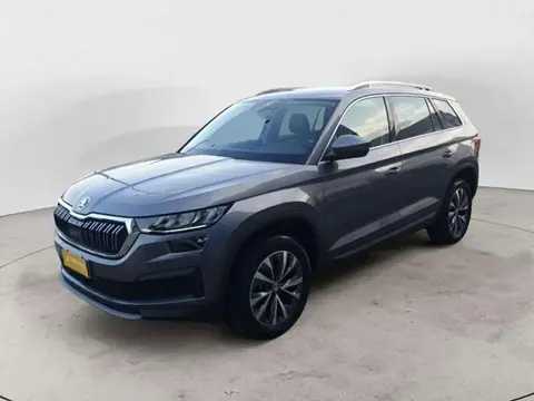 Annonce SKODA KODIAQ Diesel 2023 d'occasion 