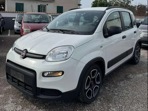 Annonce FIAT PANDA Hybride 2021 d'occasion 