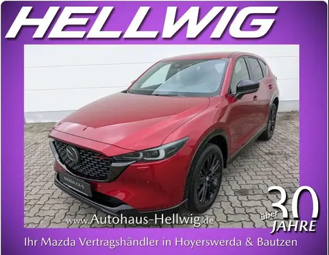 Annonce MAZDA CX-5 Essence 2024 d'occasion 